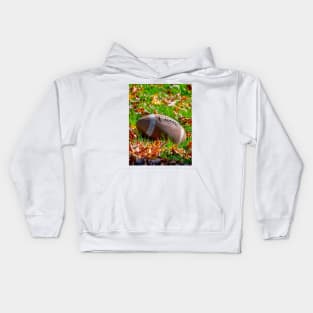 Touchdown!  football on a leafy field Kids Hoodie